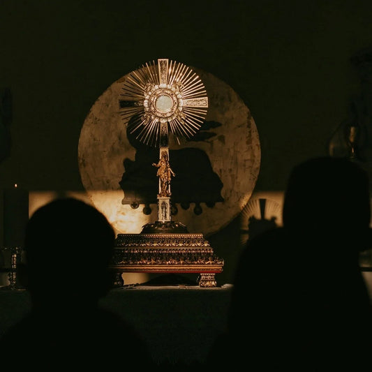 54-Day Rosary Novena for 2024 Election