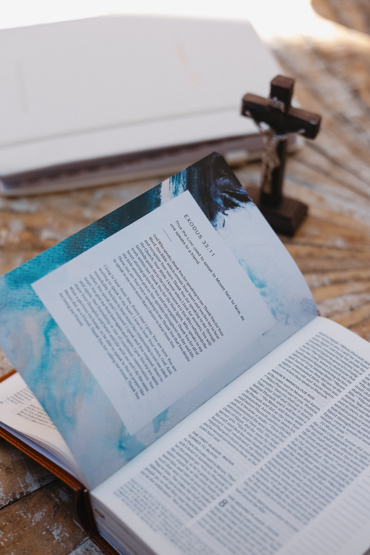 Catholic Compact Journaling Bible