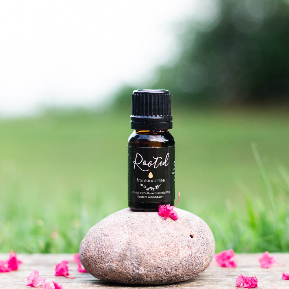 Single Essential Oils Starter Kit