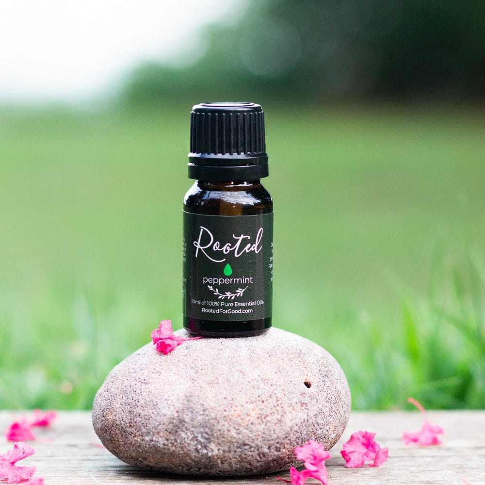 Single Essential Oils Starter Kit