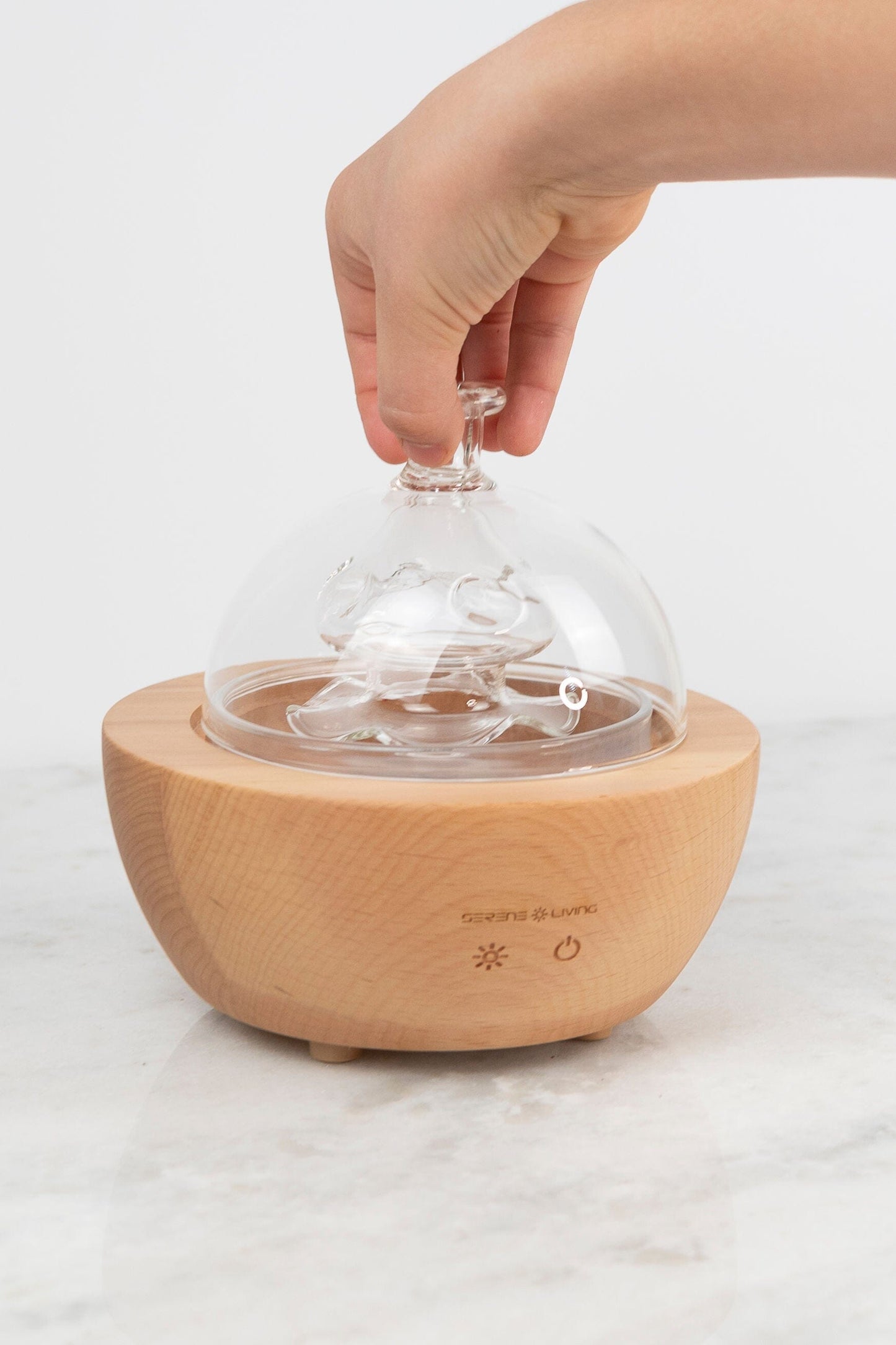 Single Essential Oils Kit + Diffuser