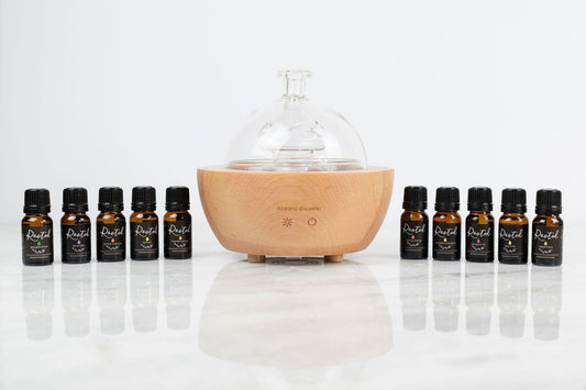 Single Essential Oils Kit + Diffuser