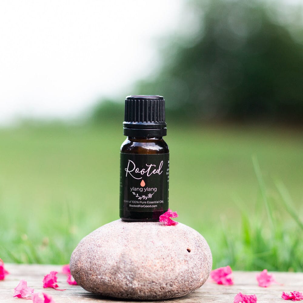 Single Essential Oils Starter Kit